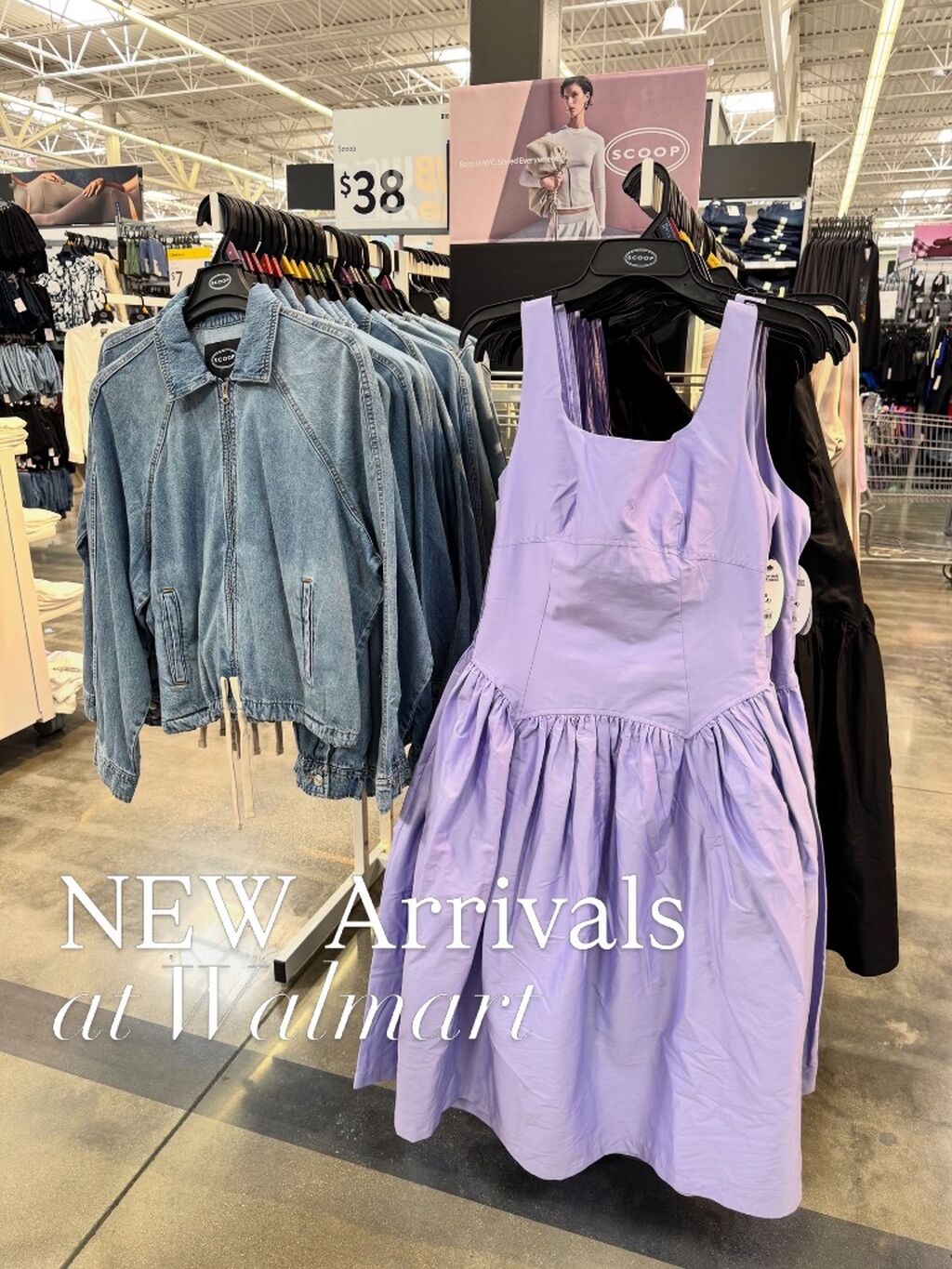 New Scoop arrivals