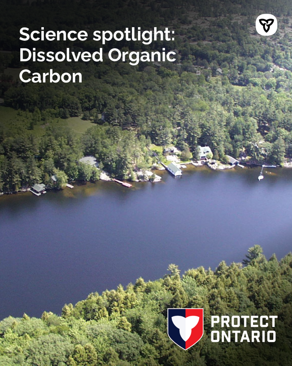 Organic Carbon