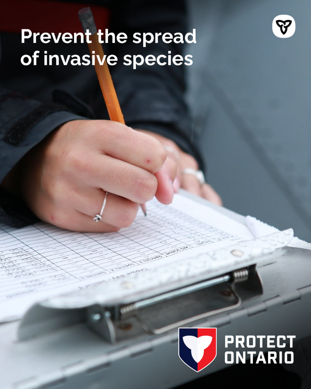 Invasive Species Awareness Week 2026
