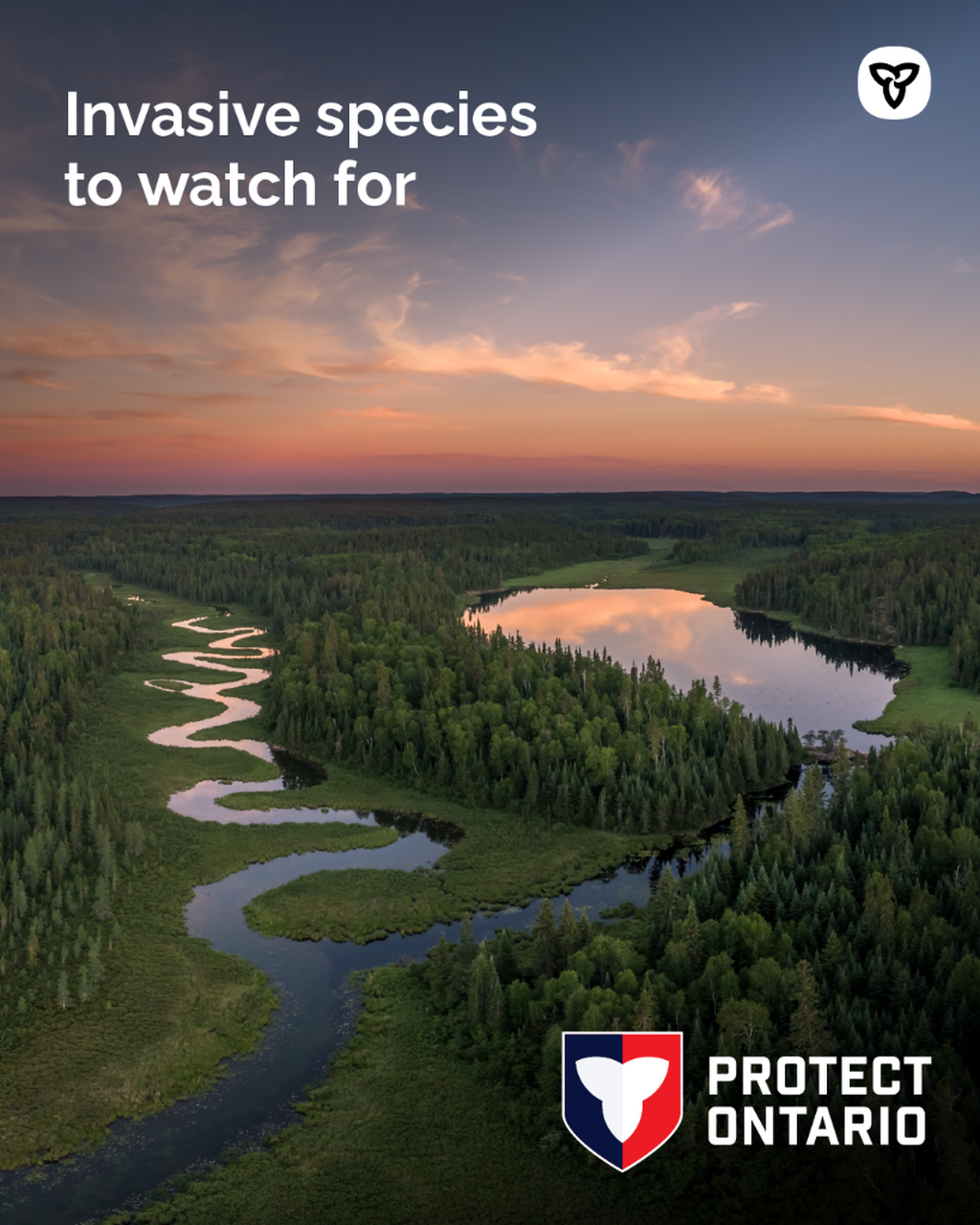 Invasive Species Awareness Week 2026