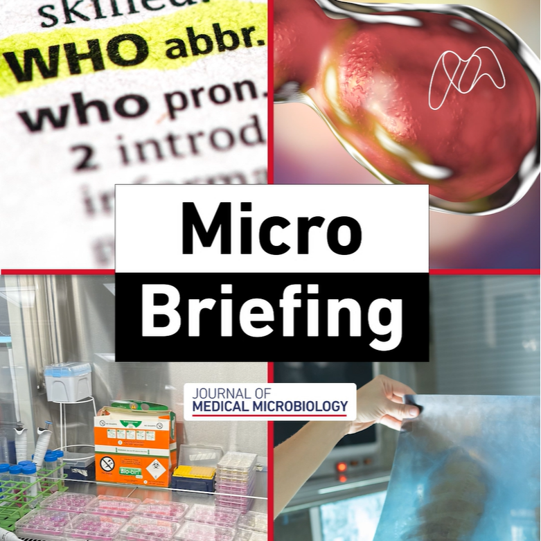 How do fungal-bacterial pathogen interactions worsen disease outcomes?