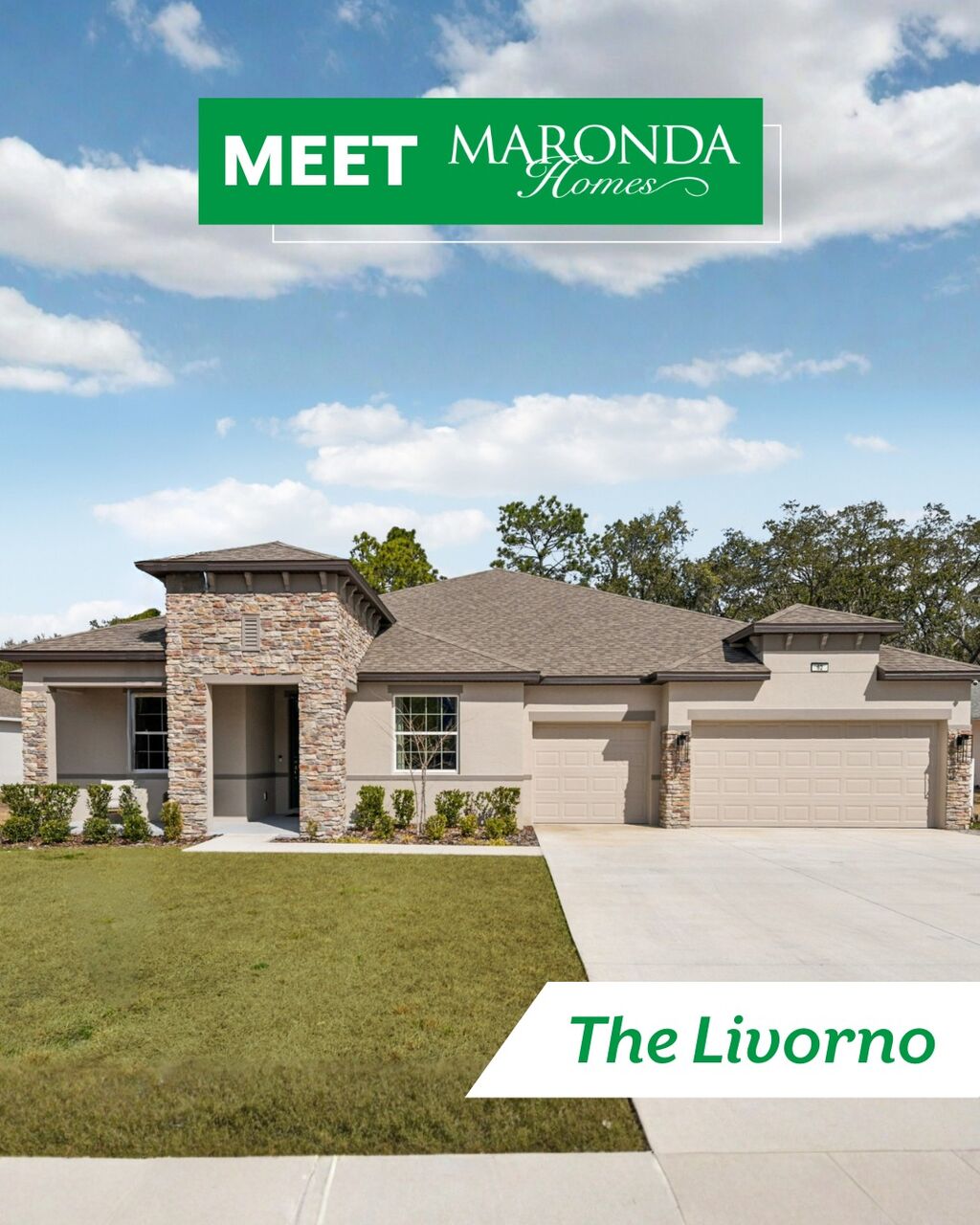Meet the Livorno: Tampa, FL