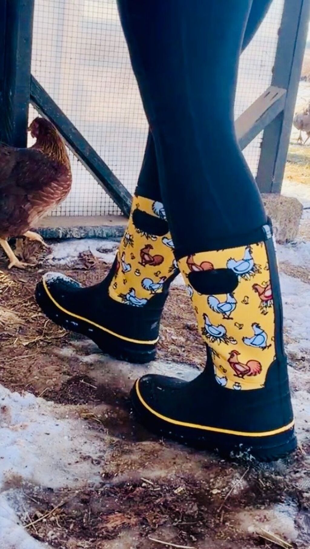 Hisea Boots - Use FARMLIFE15 for 15% Off