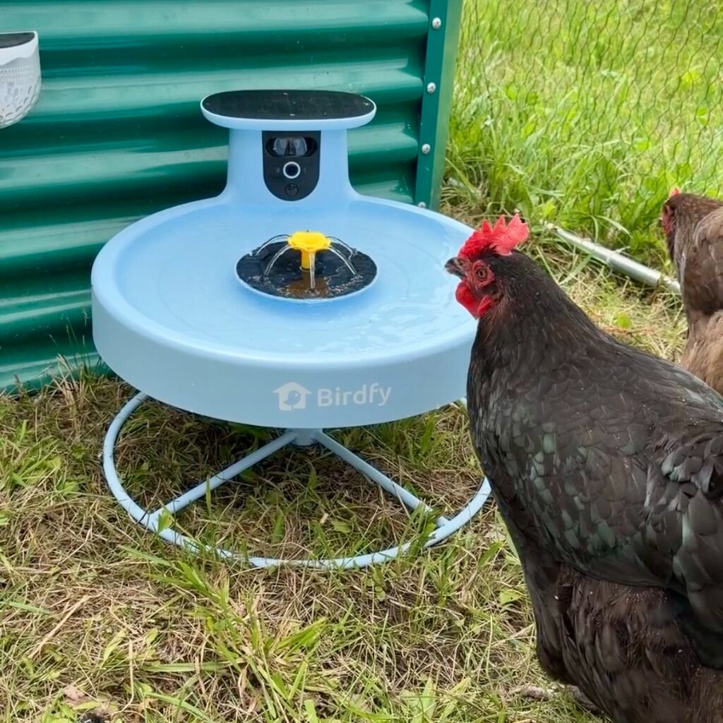 Birdfy - Use CITY2FARM15 for 15% Off