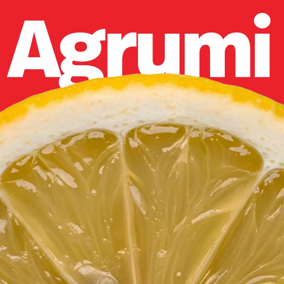Raccolta - Agrumi