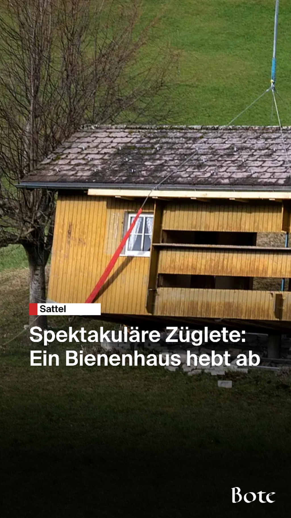 Ein Bienenhaus hebt ab