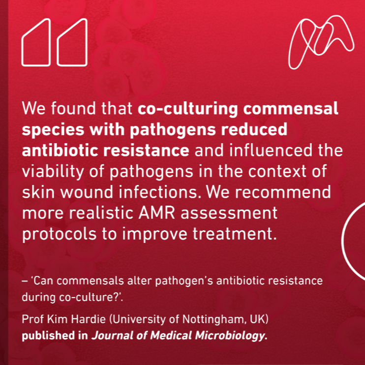 Can commensals alter pathogen&rsquo;s antibiotic resistance during co-culture?