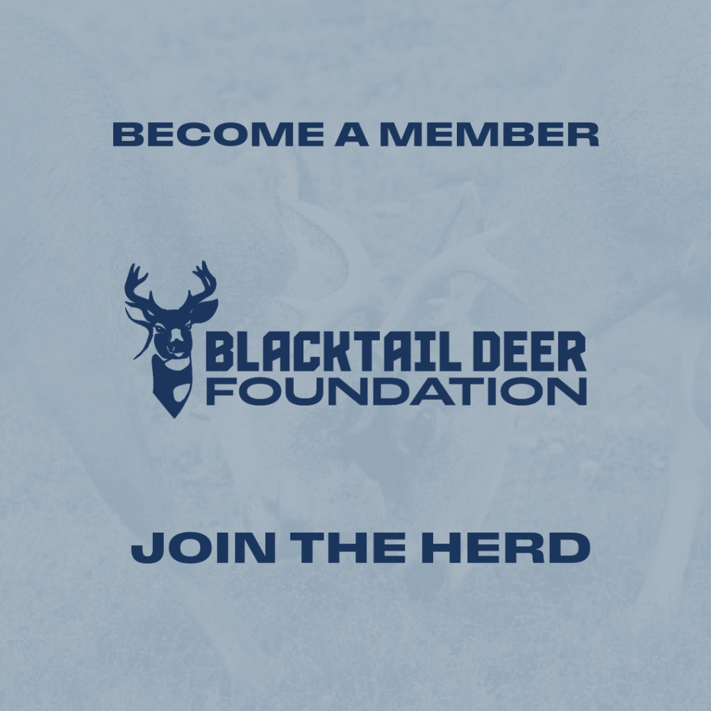 Become a BDF Member