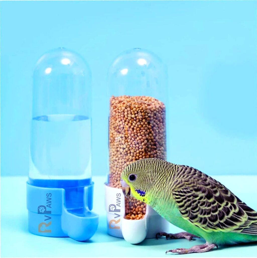 Bird Feeder
