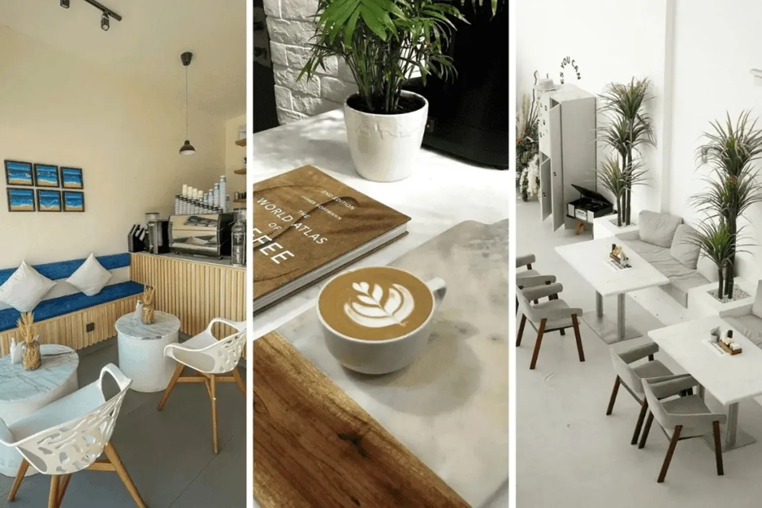 Hidden Cafes in Ajman: Where to Sip, Work & Unwind in 2026