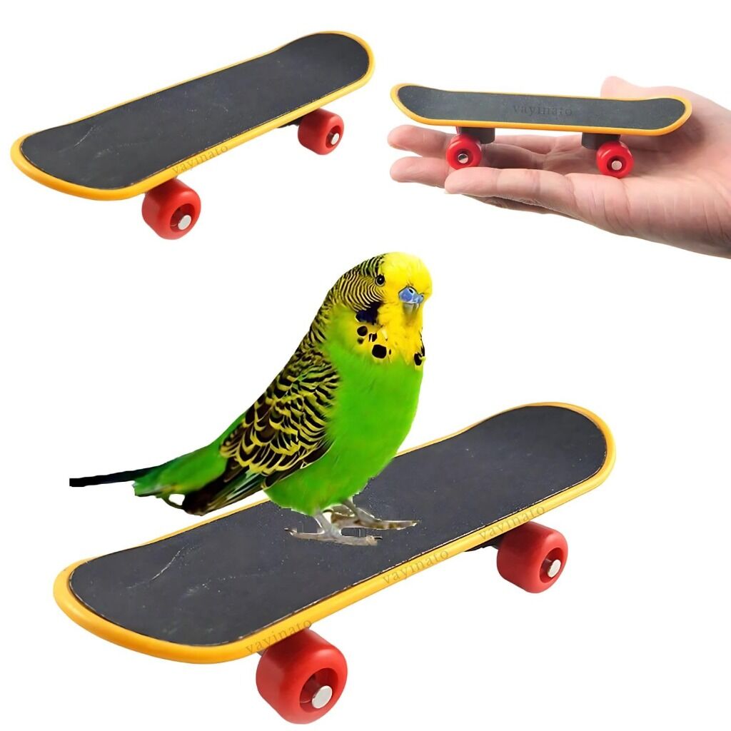Bird Skate Board