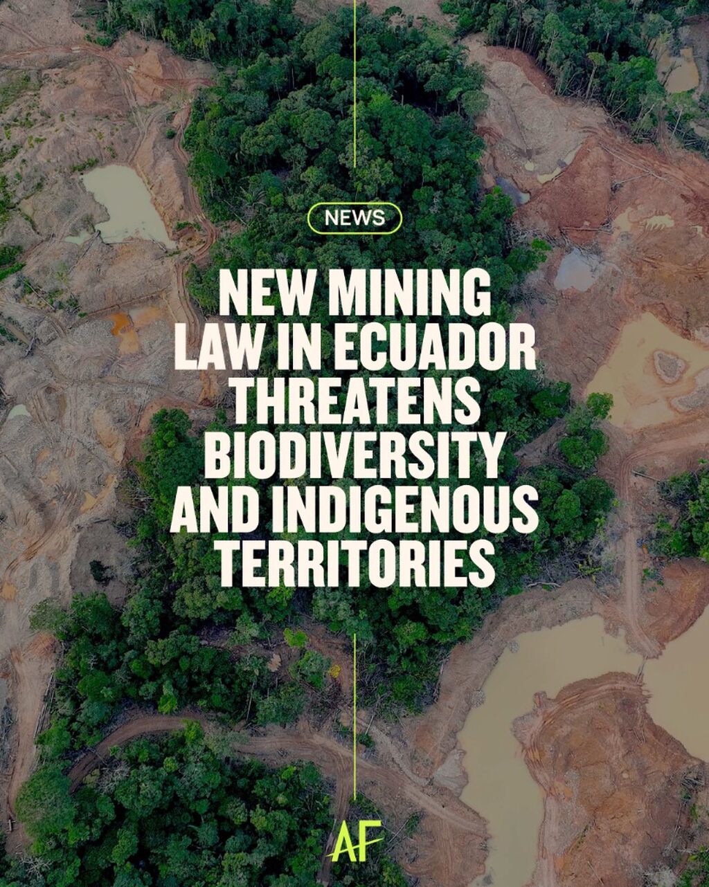 New Mining Law in Ecuador Threatens Biodiversity and Indigenous Territories