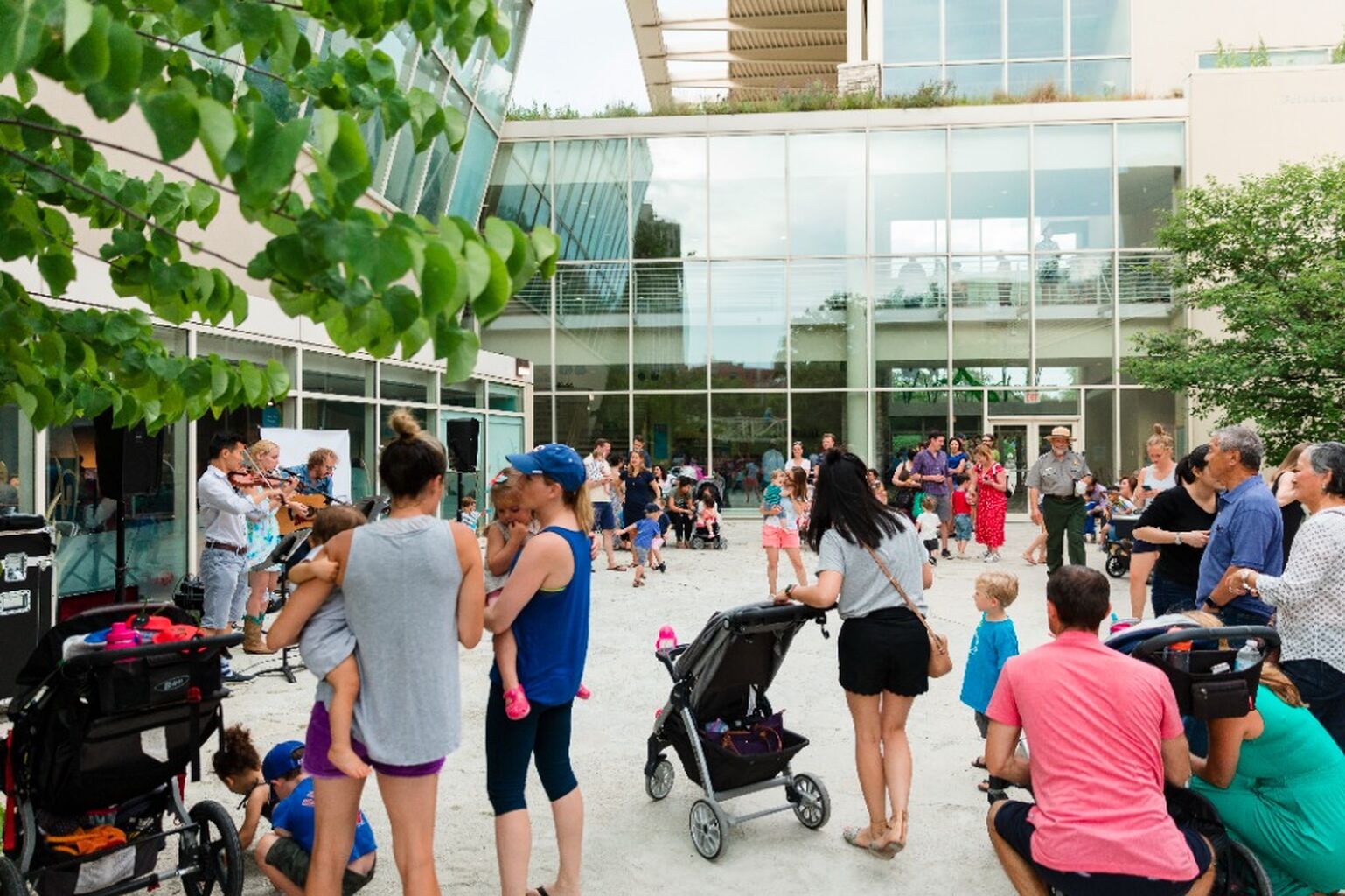 Summer Nature Fest