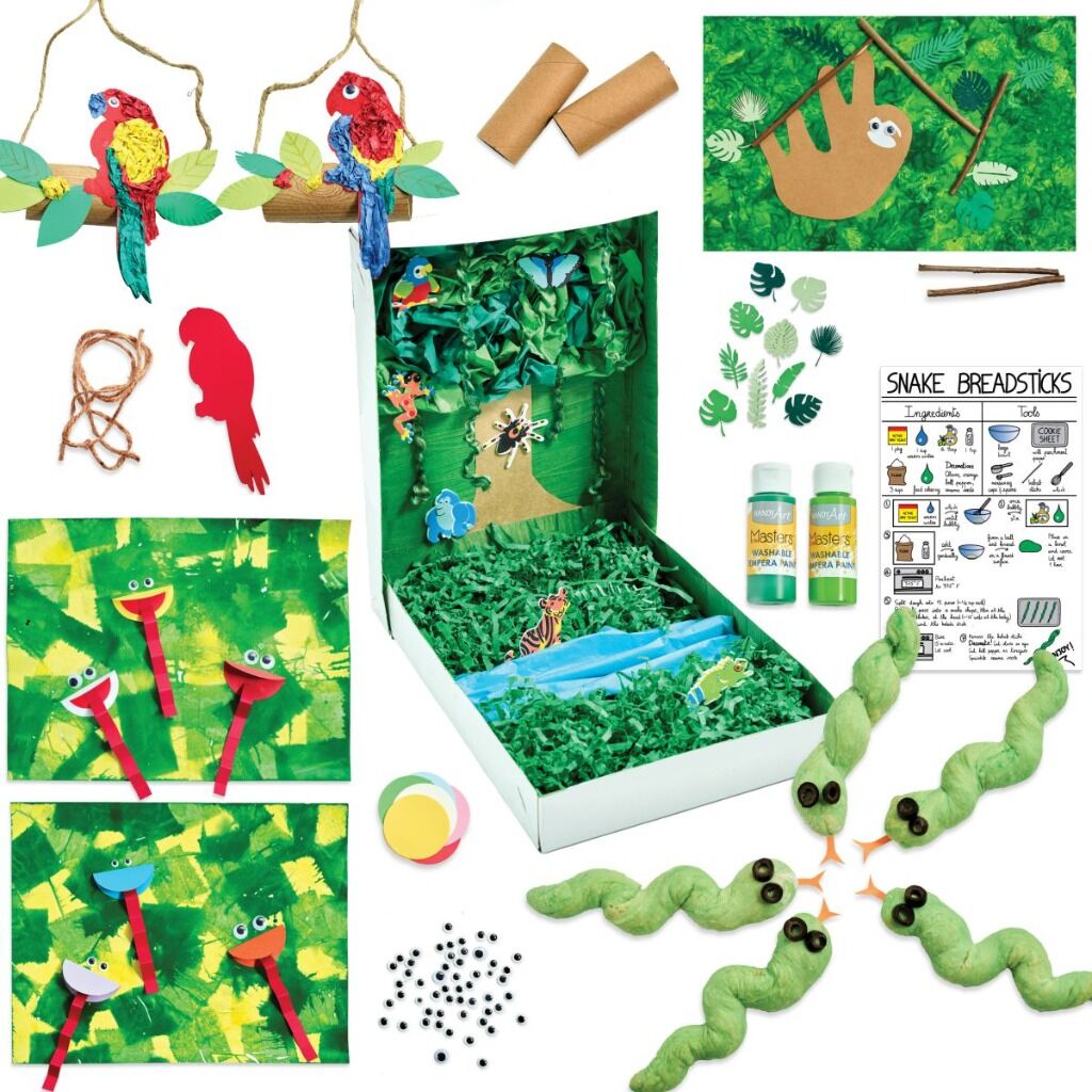 Rainforest Box 🦜🐸🦥