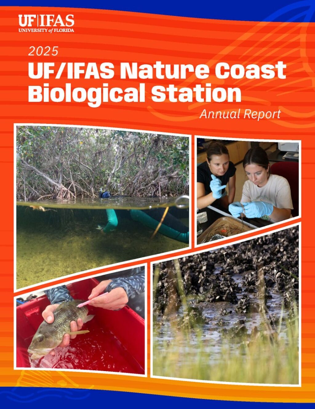 UF/IFAS NCBS - 2025 Annual Report