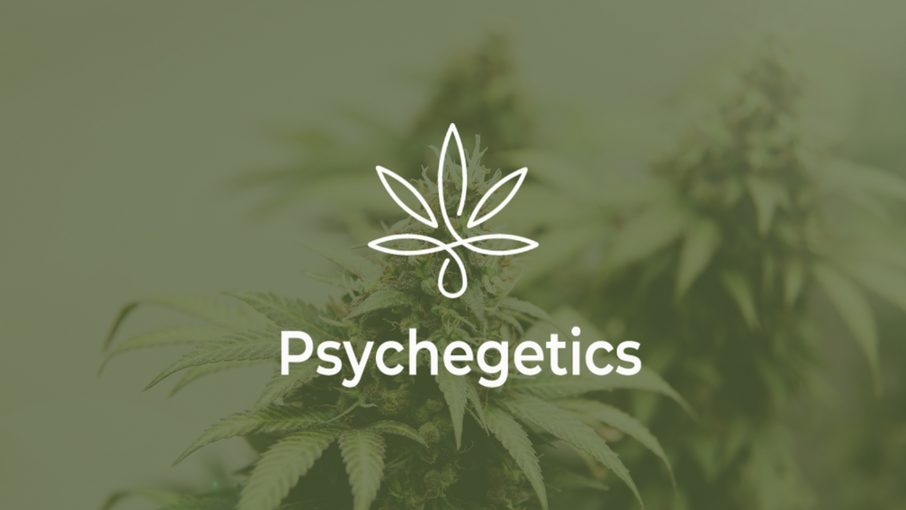 Psychedelic Cannabis - Website