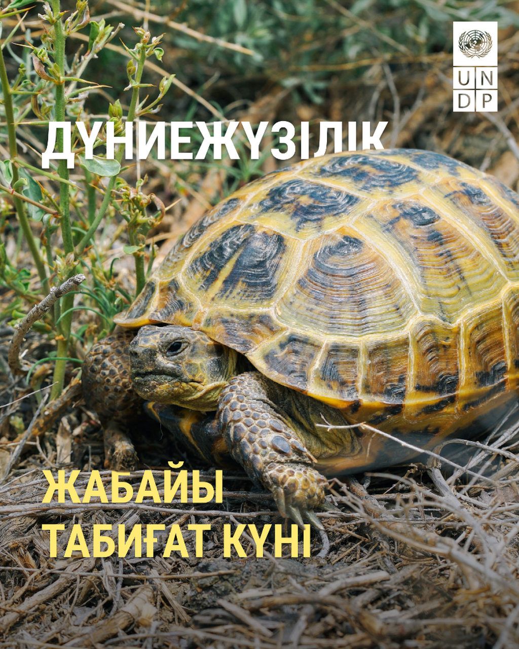 Неліктен қазақстандық компанияларға табиғат туралы деректерді ашу қажет?