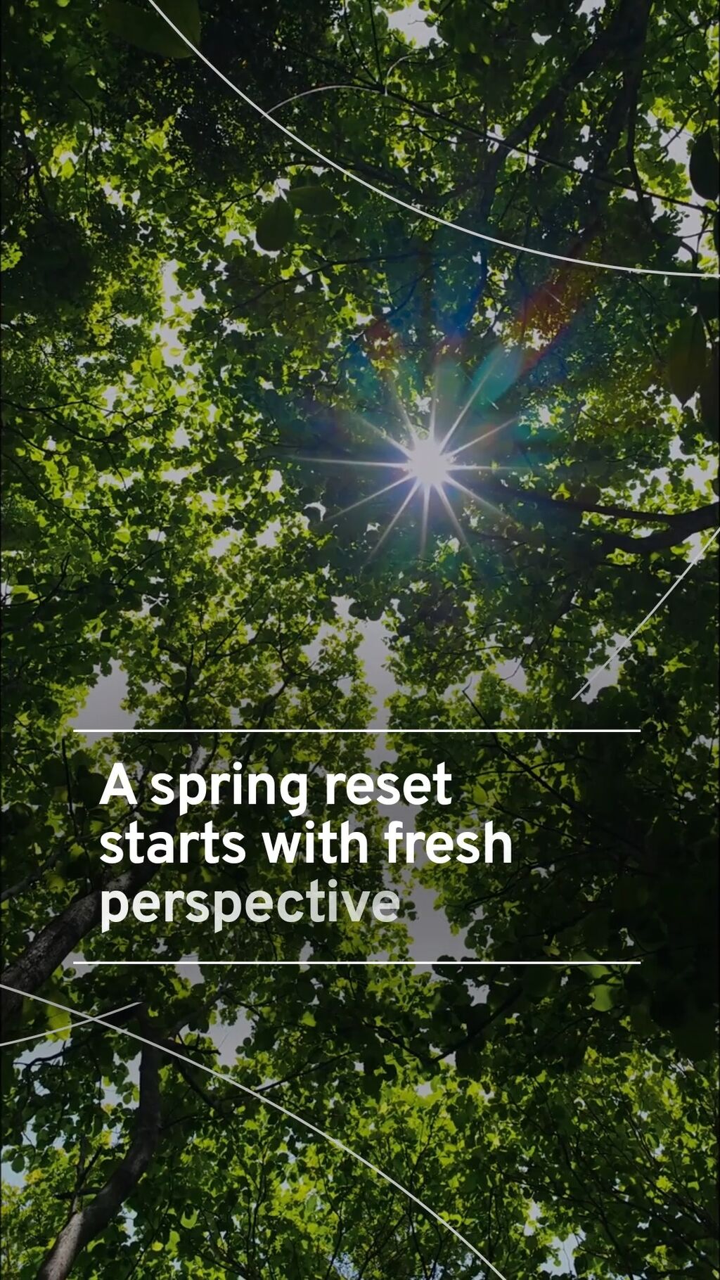 Spring Reset Guide