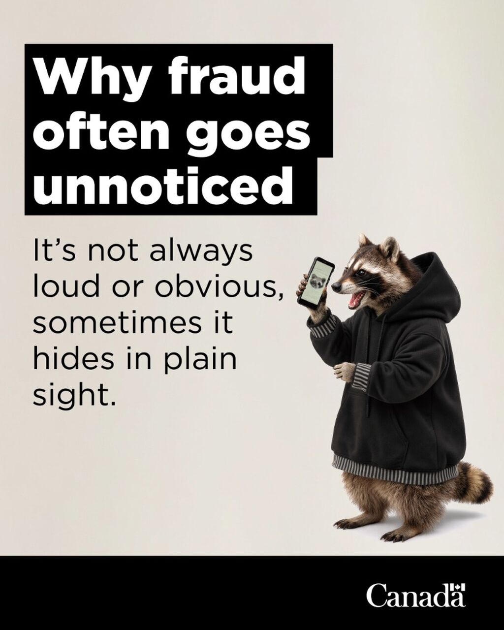 Protection from frauds and scams