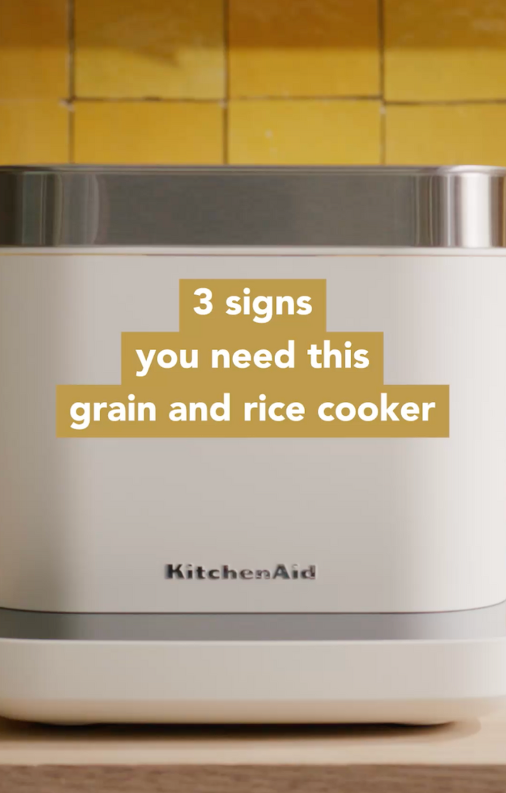 Compact Grain and Rice Cooker