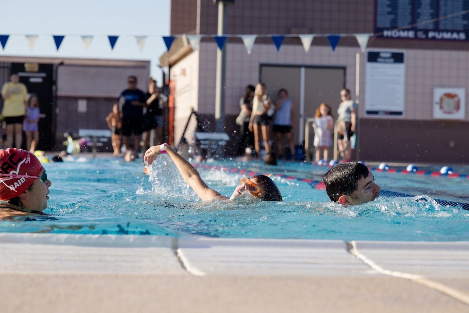 Spring Aquatics