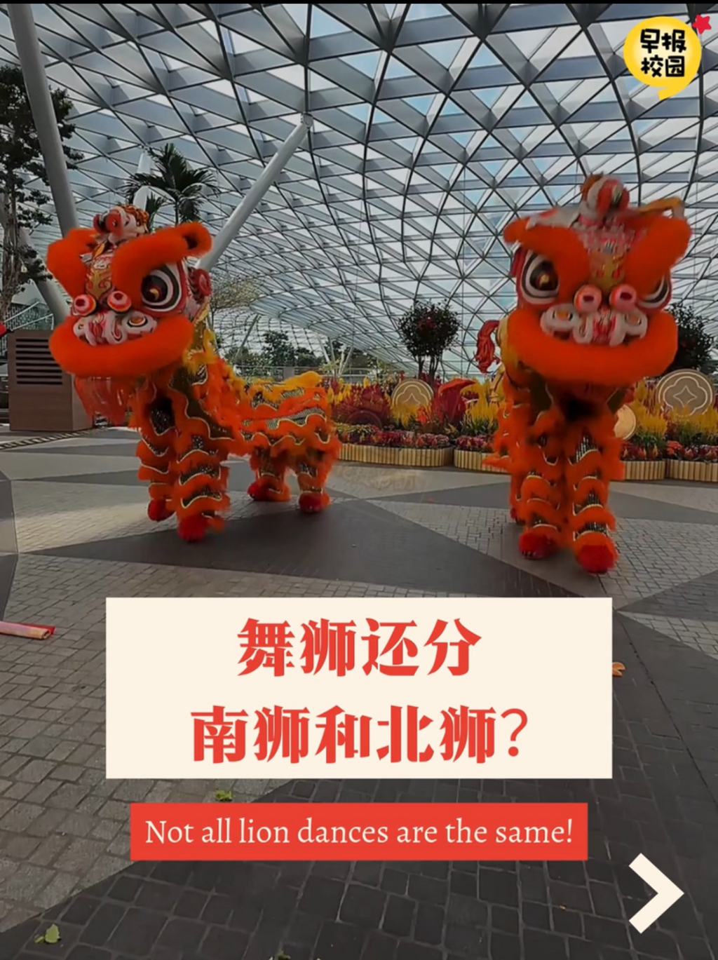 锣鼓一响 舞狮登场！