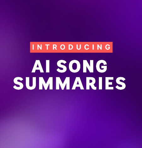 ZIN AI Song Summaries