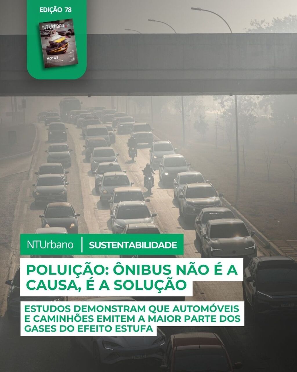 REVISTA 78 - SUSTENTABILIDADE