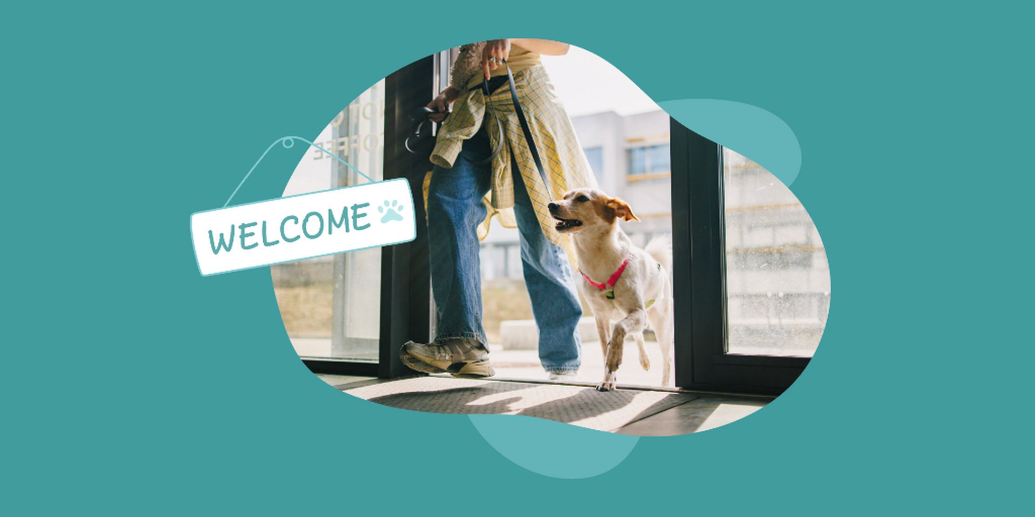 Blog: Dog Daycare & Boarding Safety