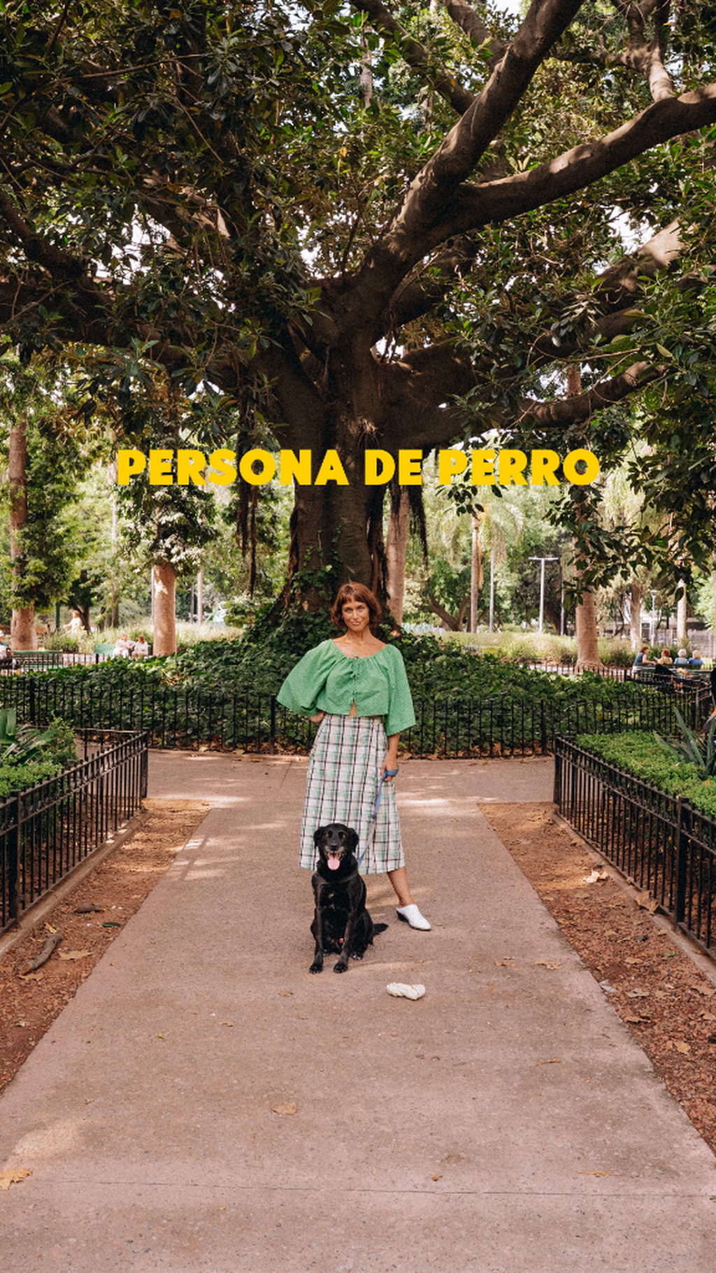 cuento corto PERSONA DE PERRO