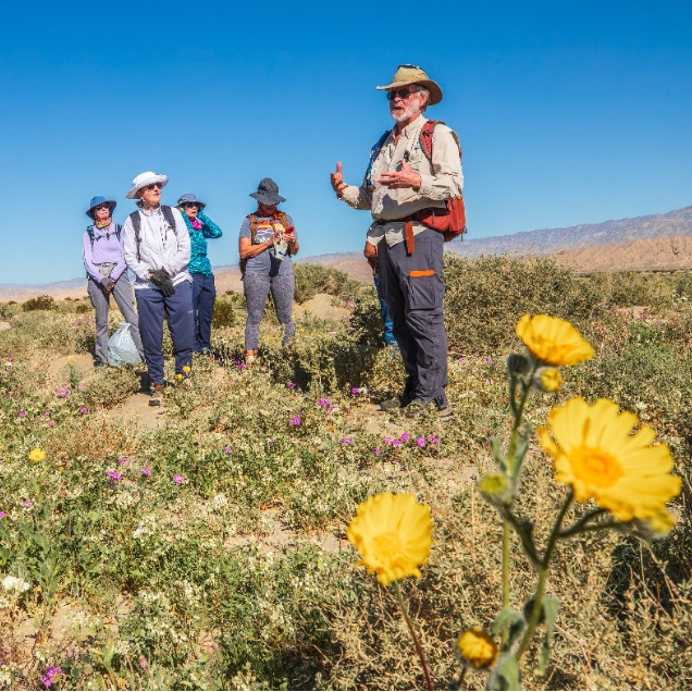 Interest List - Desert Sands & Sky Islands California Naturalist