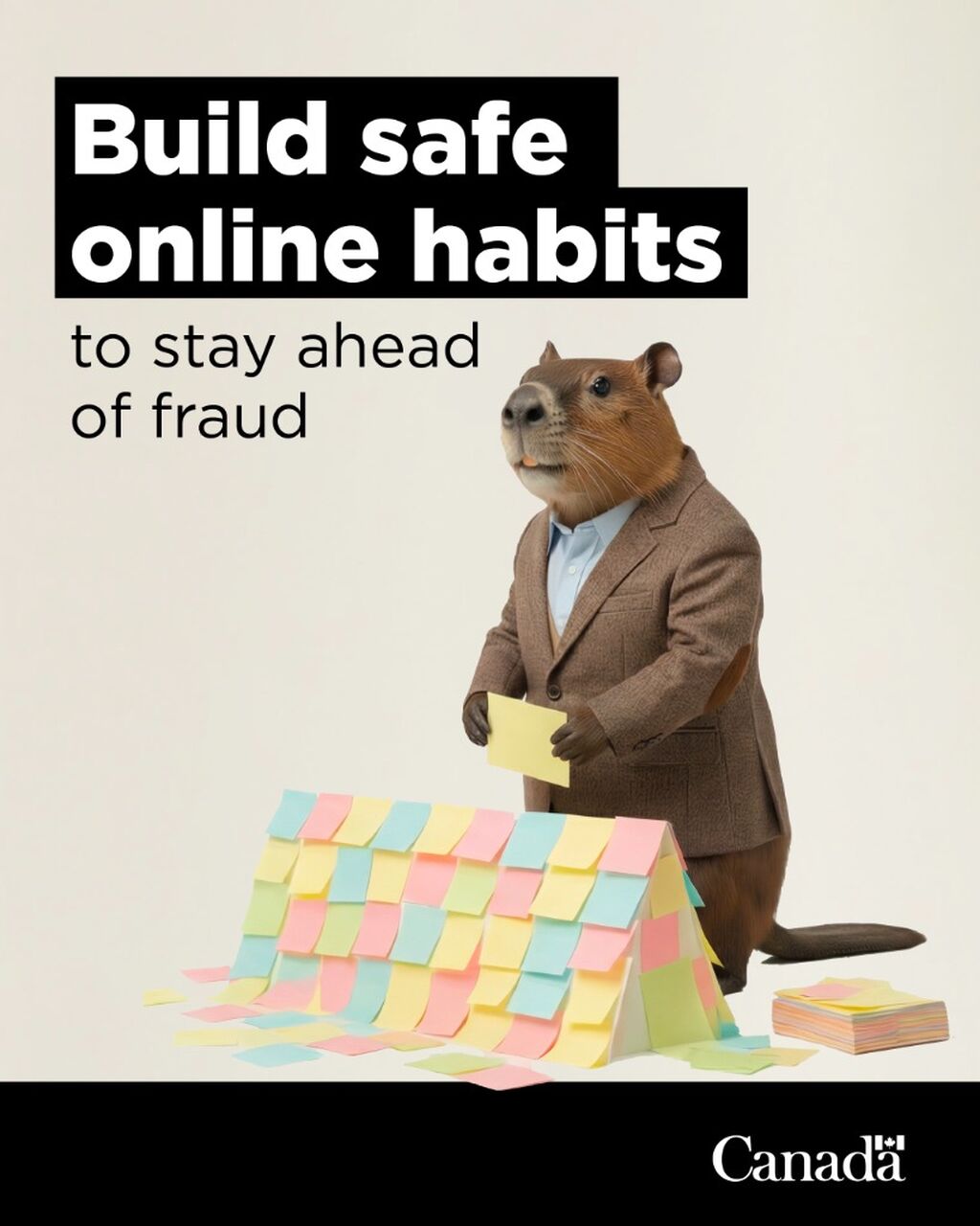 Protection from frauds and scams