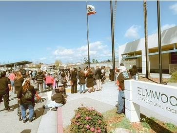 My Brother is Currently at Elmwood Jail & Faces Potential ICE Detainment