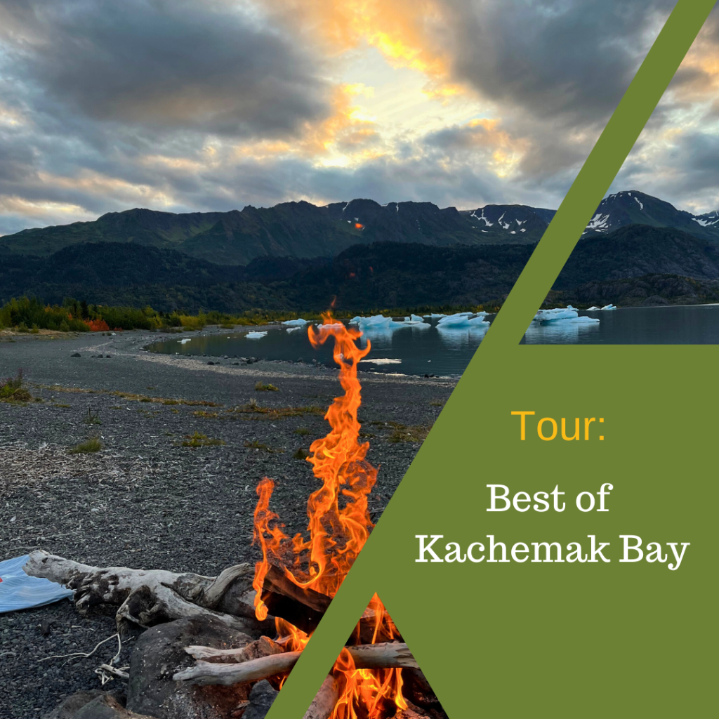 Best of Kachemak Bay