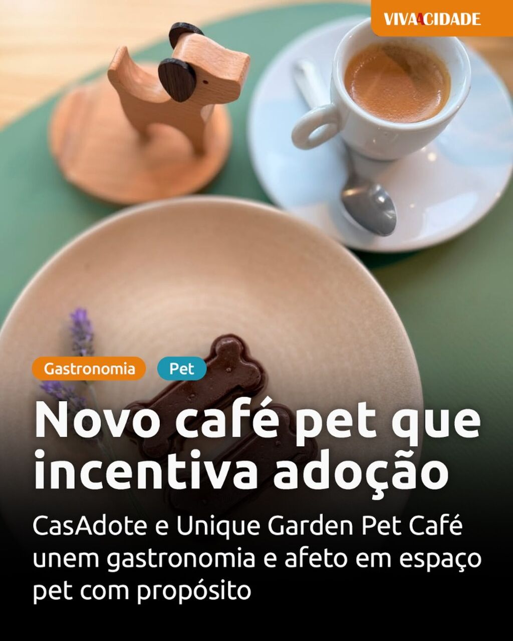 Novo caf&eacute; pet que incentiva ado&ccedil;&atilde;o