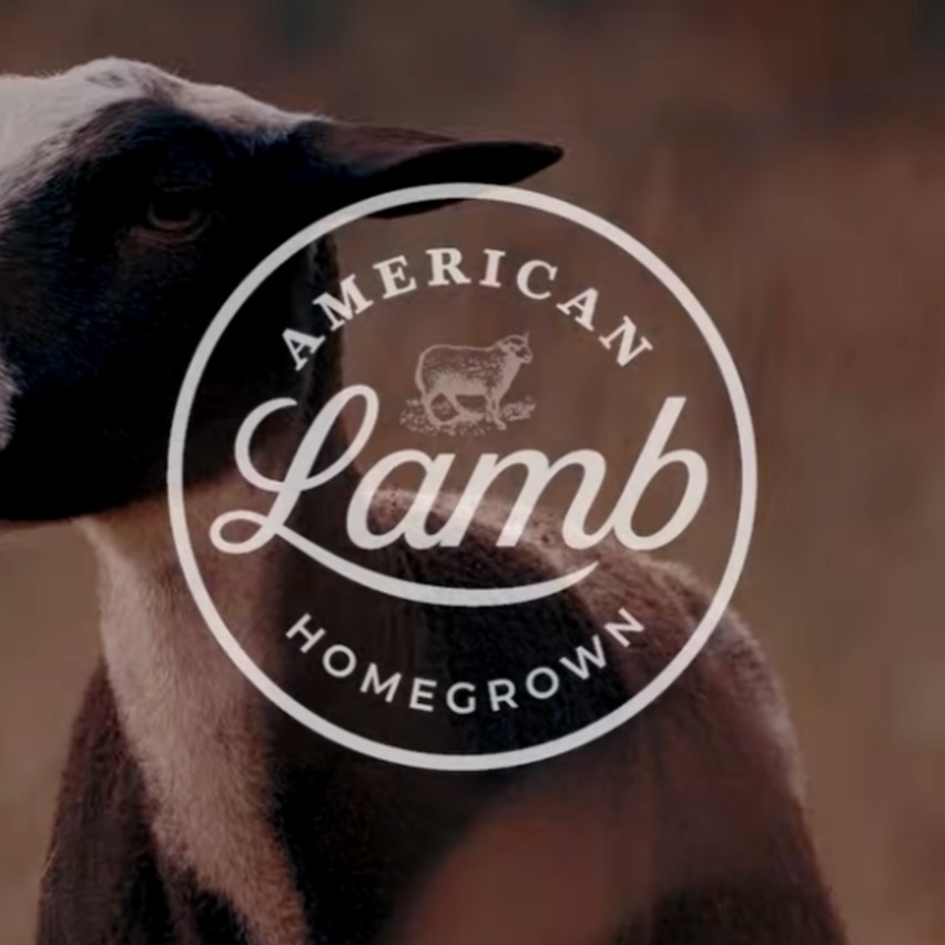 Discover American Lamb