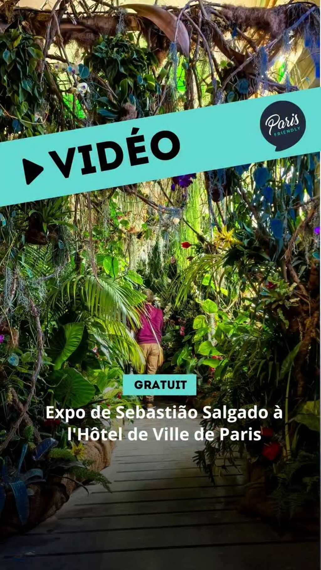 Expo Sebasti&atilde;o Salgado