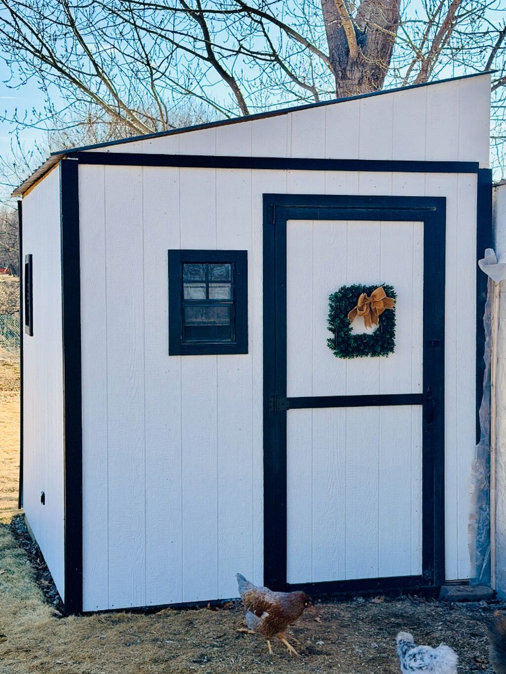 Get my Chicken Coop Plans