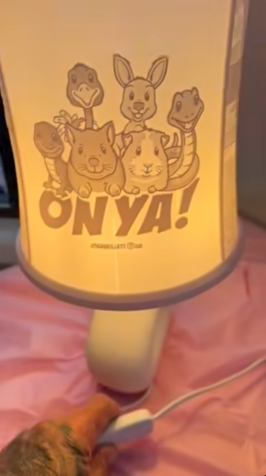 Custom 3D Printed Lamp