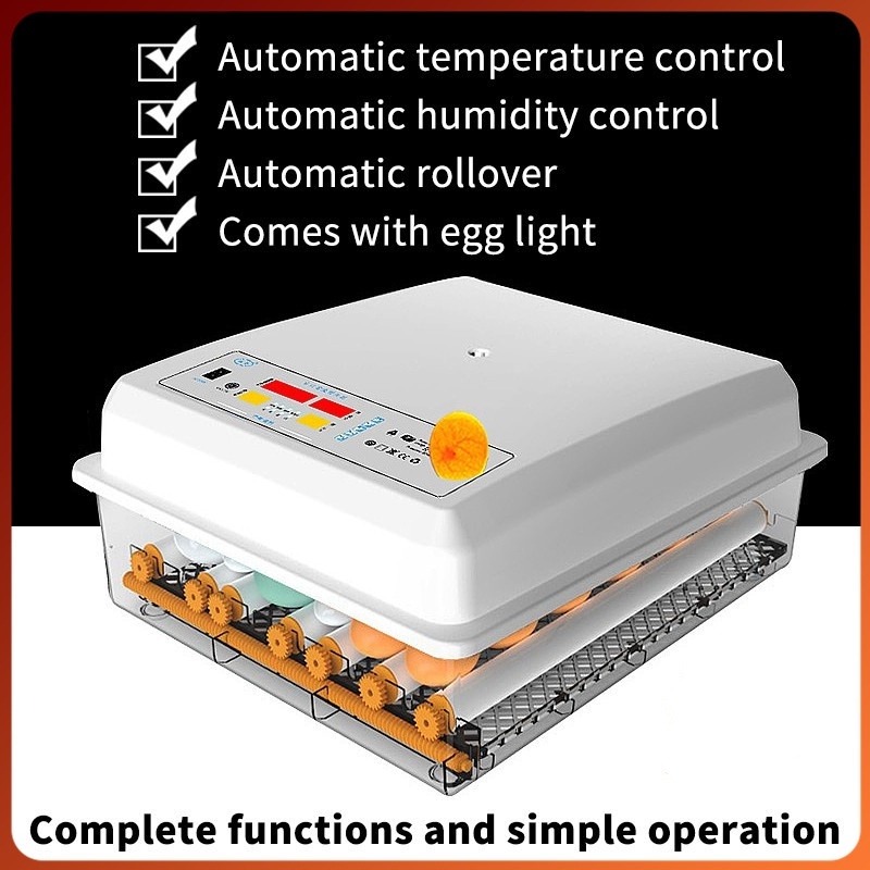Egg Incubator