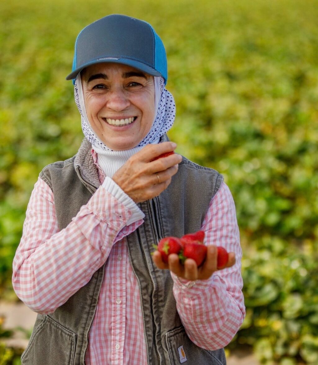 Strawberry Farm Stories​ | Growing Strawberries | California Strawberries