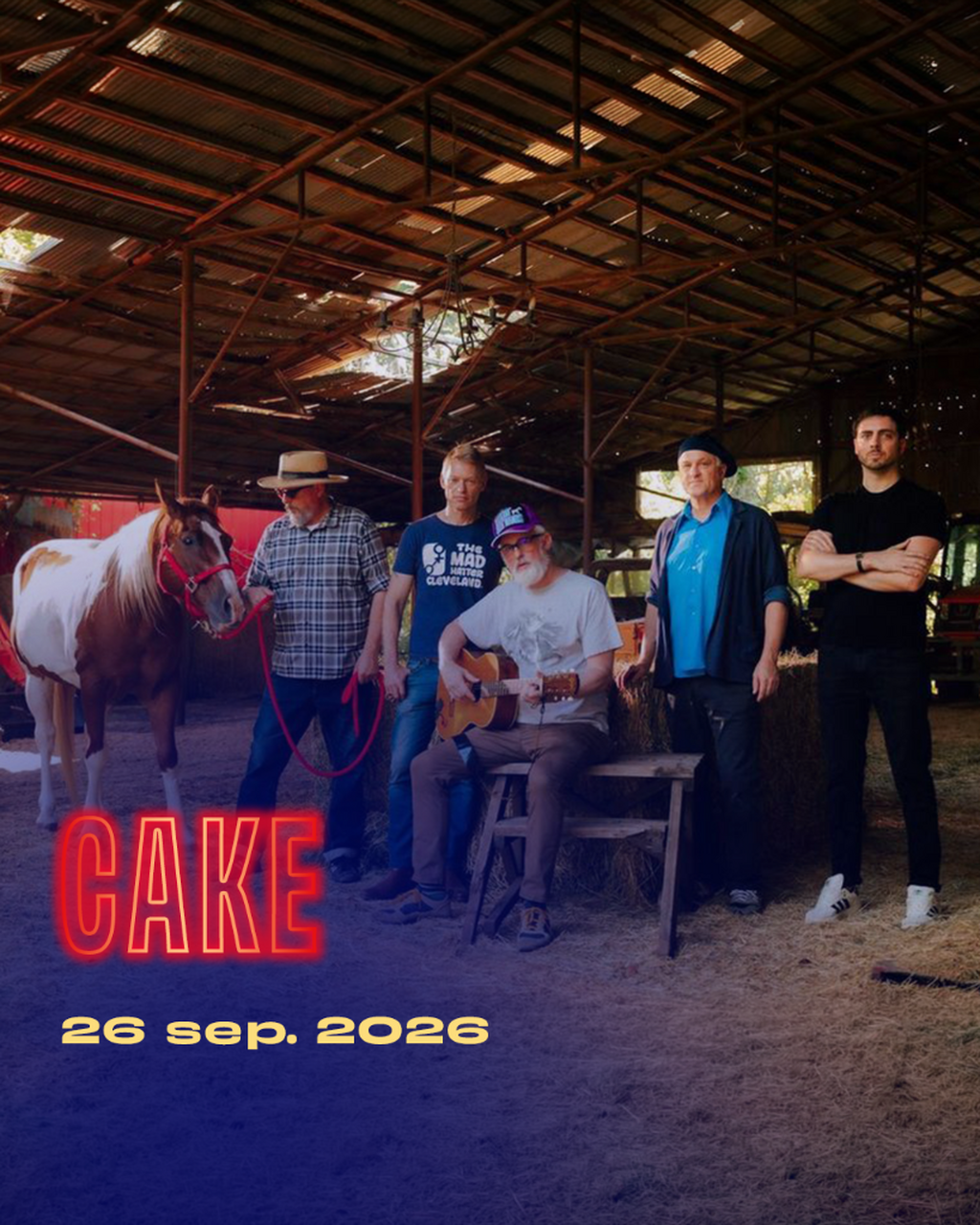 Cake