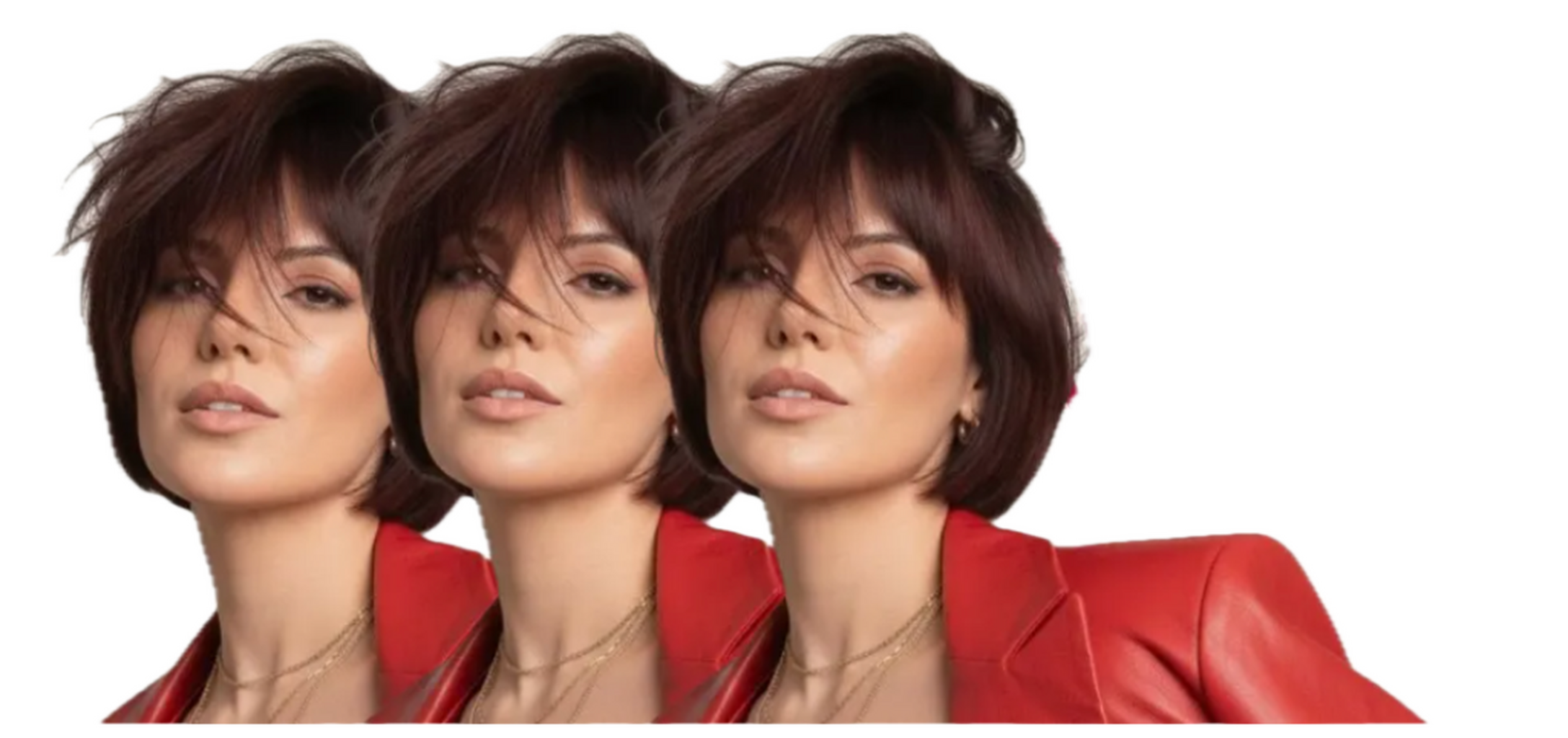 Favoritos da Loba