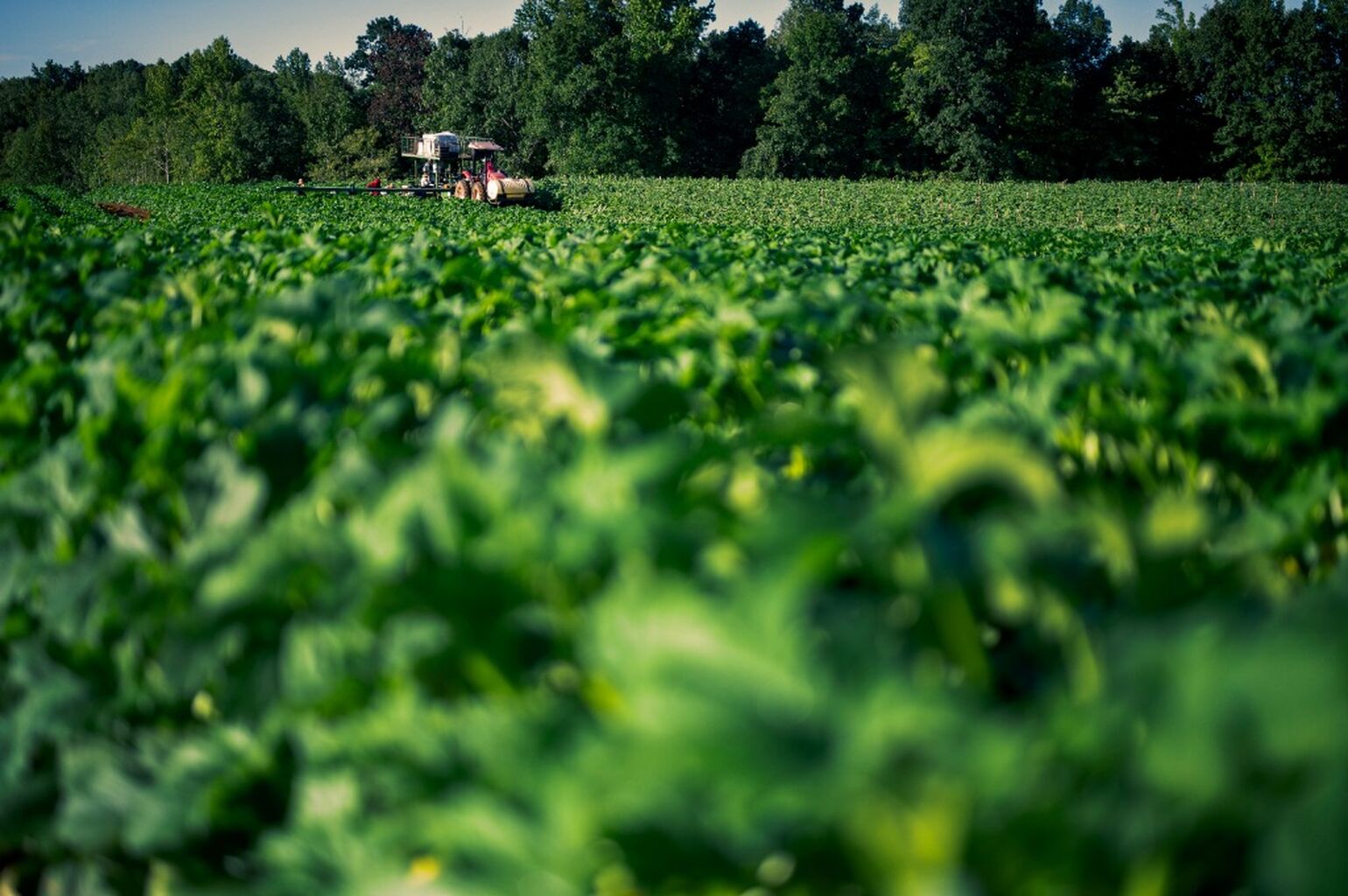 The Latest Updates on the Farm Bill &ndash; Farm Aid