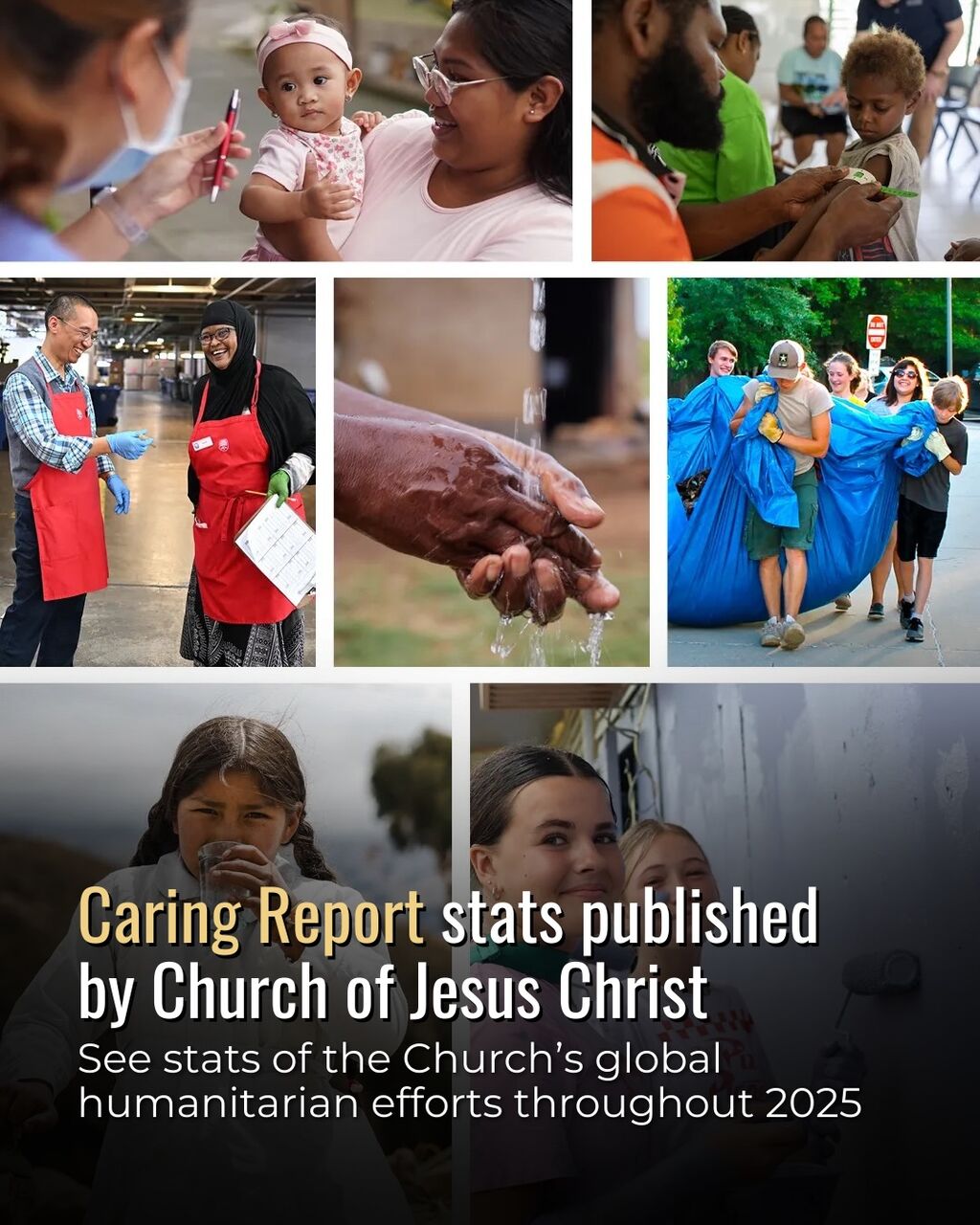 Caring Report stats