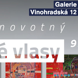 Zacuchan&eacute; vlasy &mdash; v&yacute;stava 