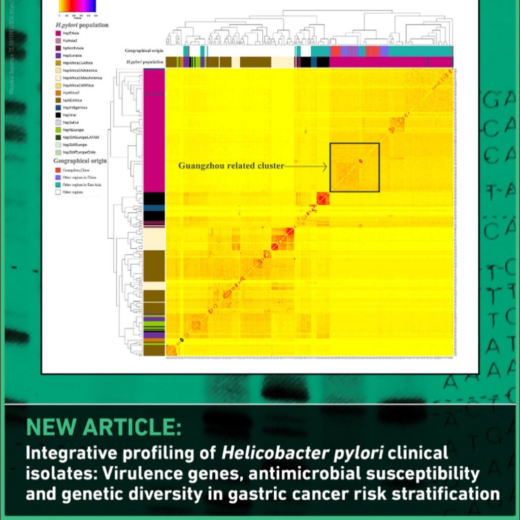 Helicobacter and gastric cancer