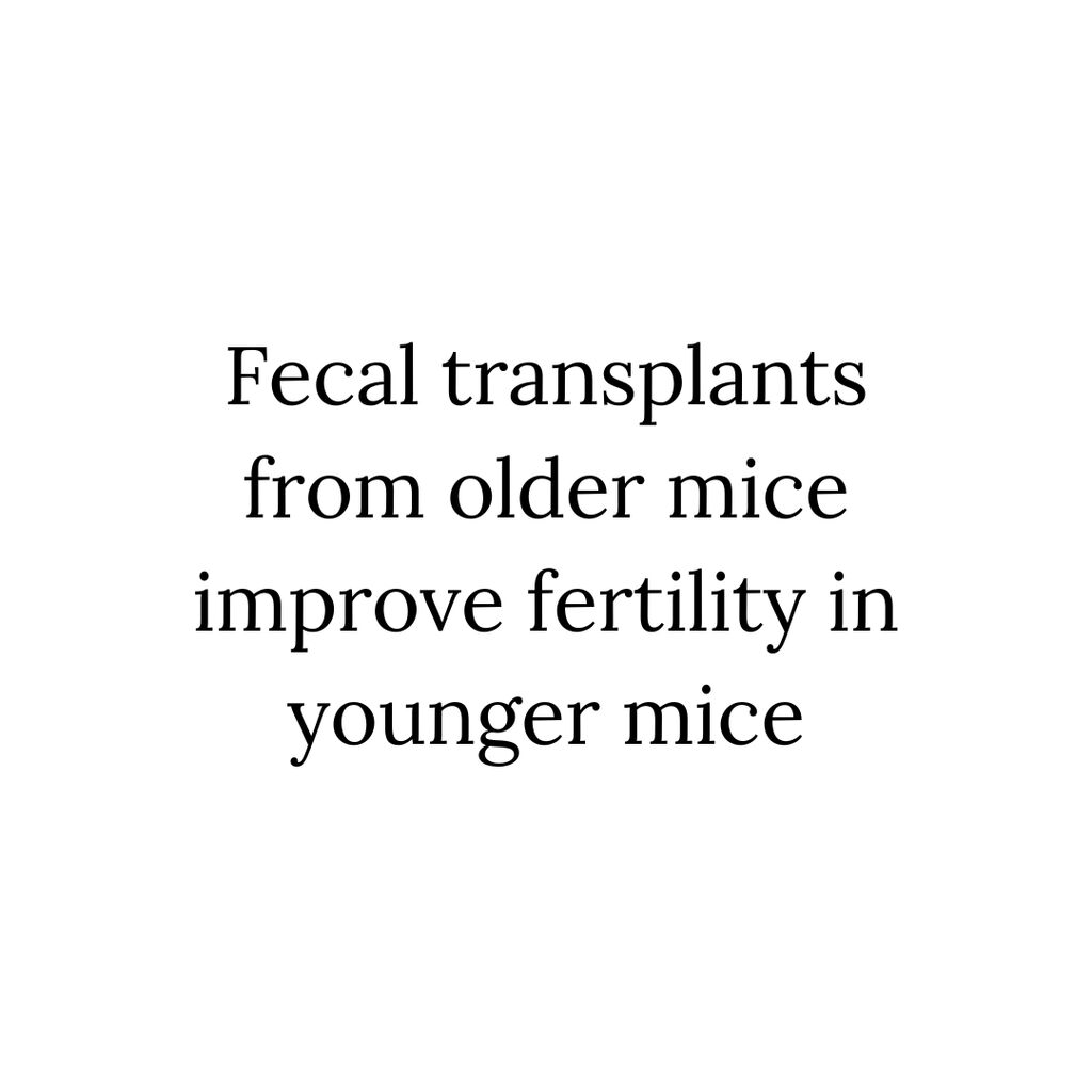 Fecal Transplants from Older Mice Significantly Improve Ovarian Function and Fertility in Younger Mice