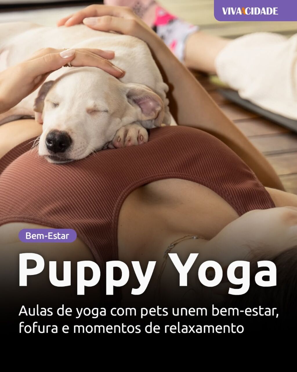 Puppy Yoga