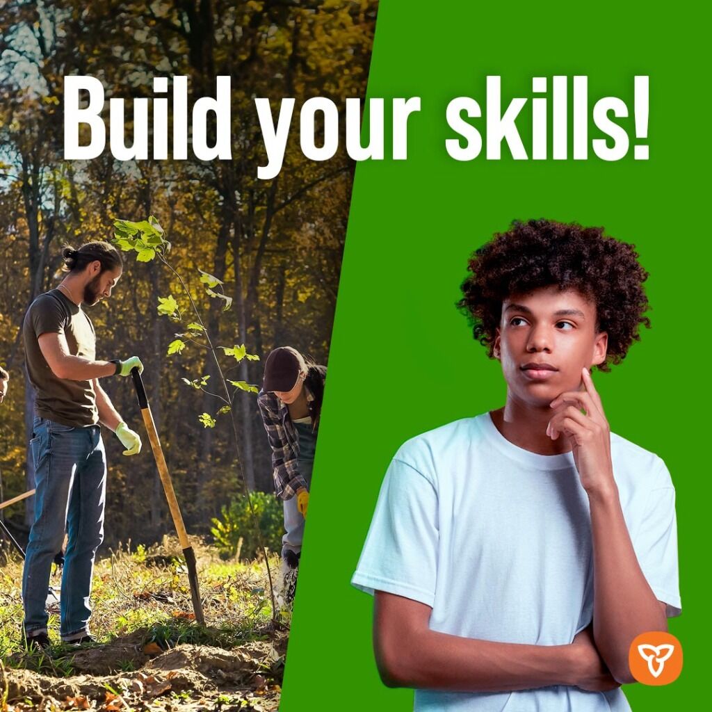 Summer jobs at the Ministry of Natural Resources